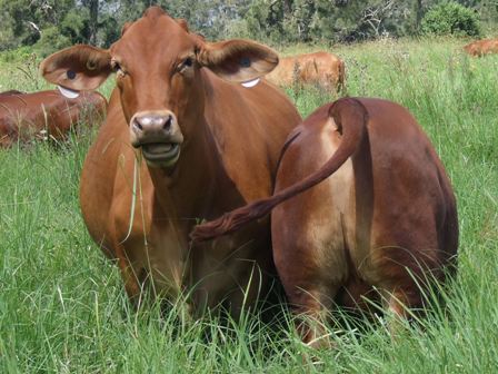 Bryvonlea Susanne & Malachi